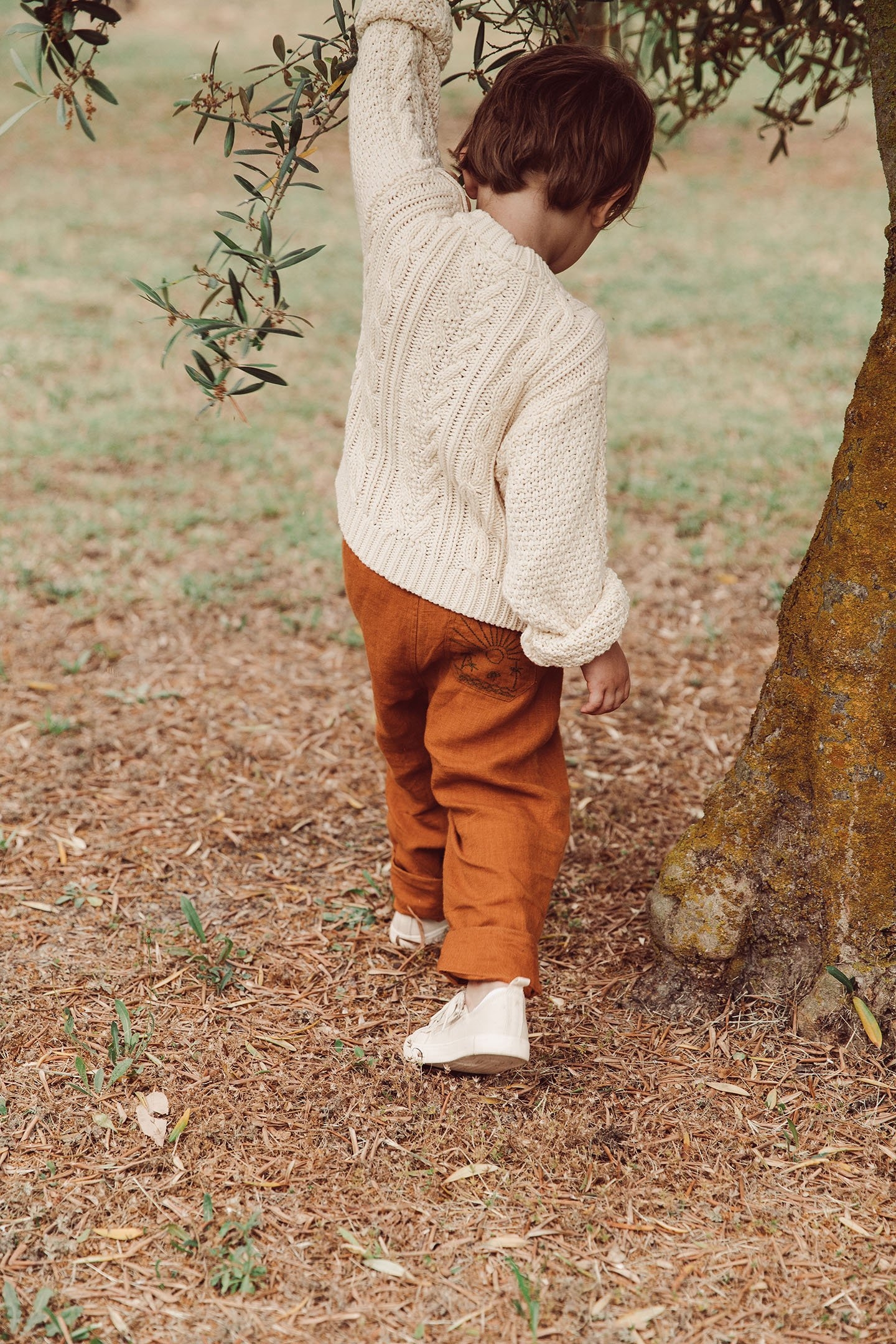 JUMPER ALIOU CREAM 5