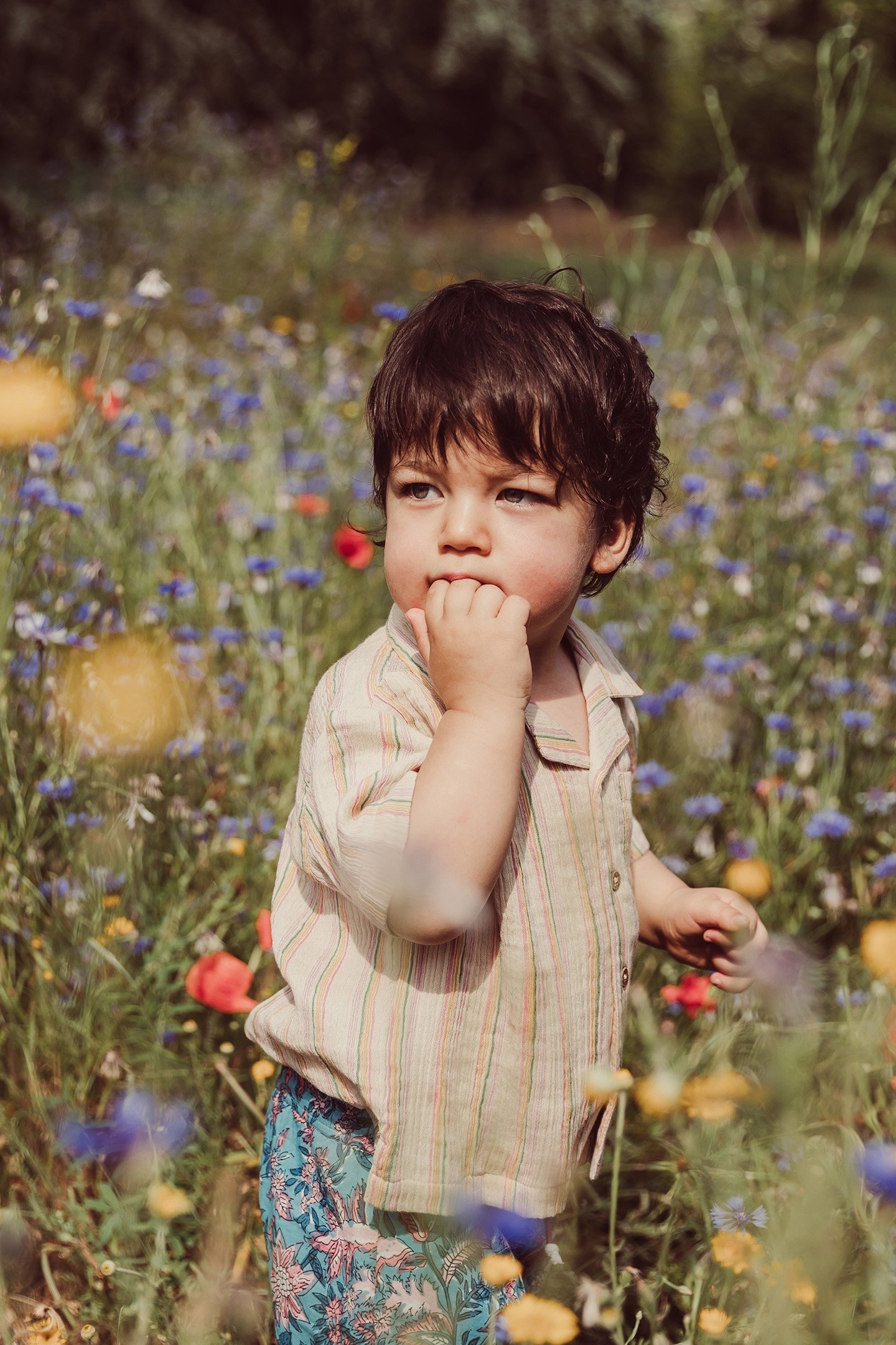 SHIRT ALOV MULTICO RAINBOW LINE 5