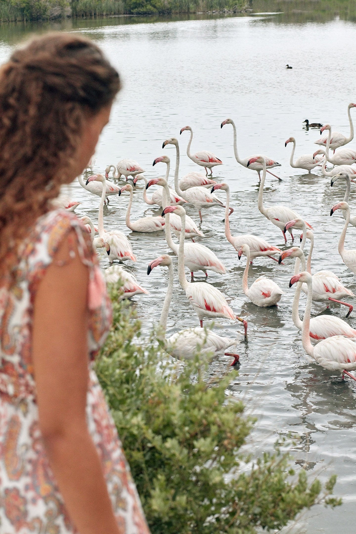 DRESS PLUMISKA WHITE CASHMERE 4