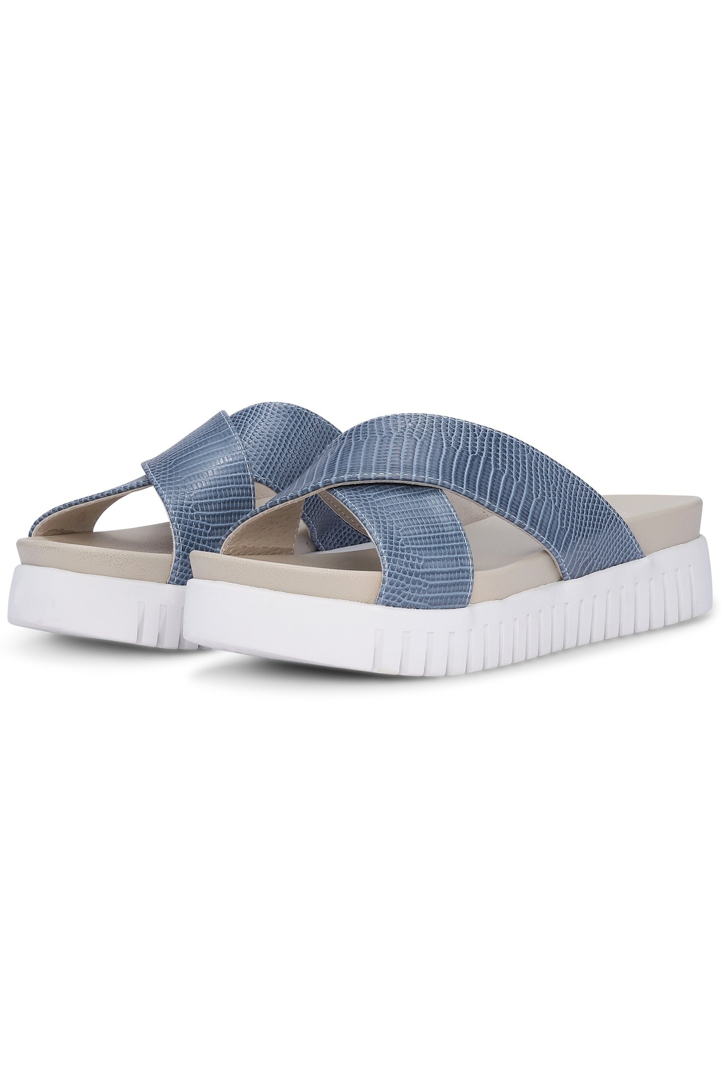 TULIP1465RE SMOKE BLUE 2