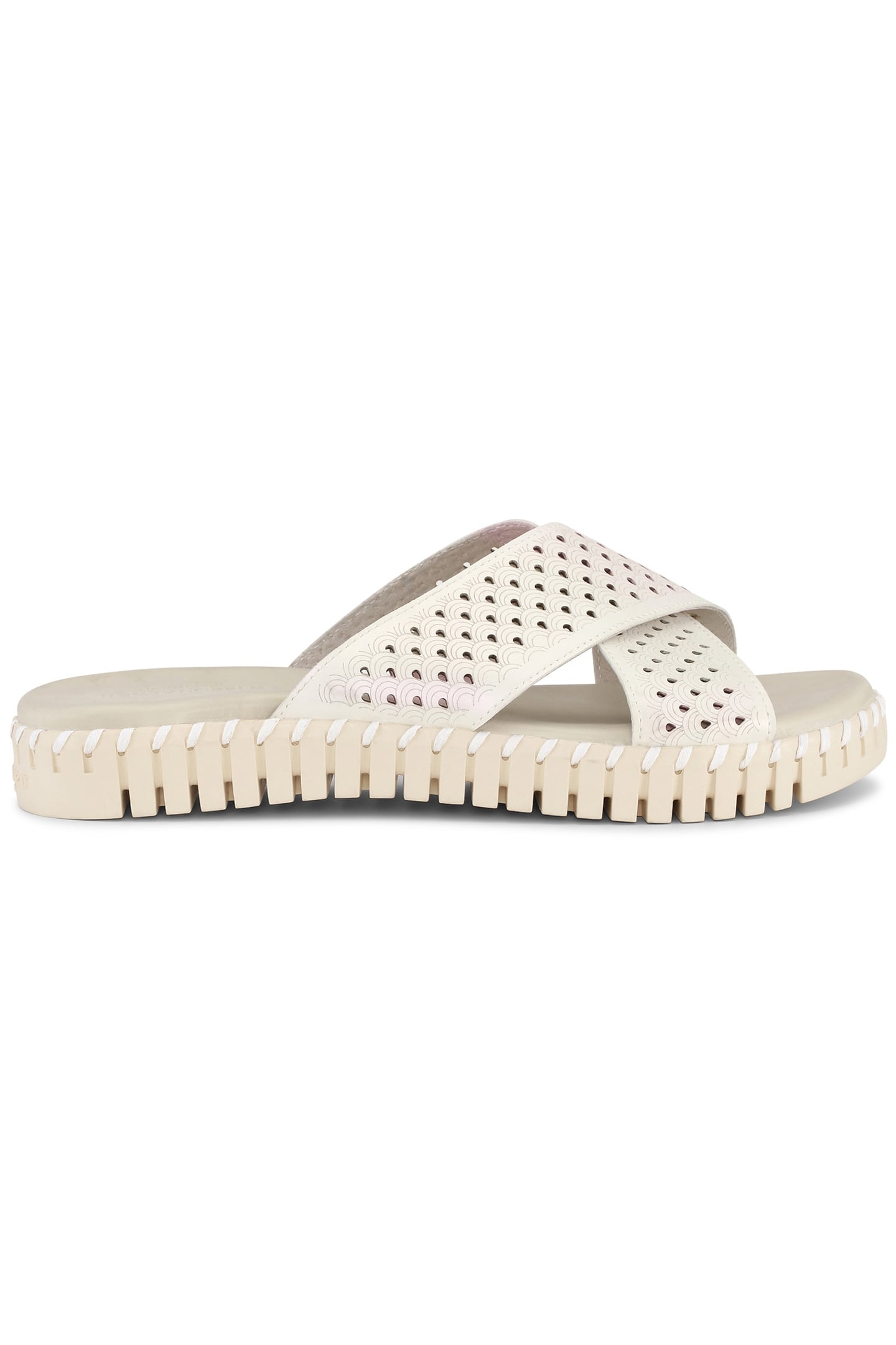 TULIP1575MN WHITECAP 1