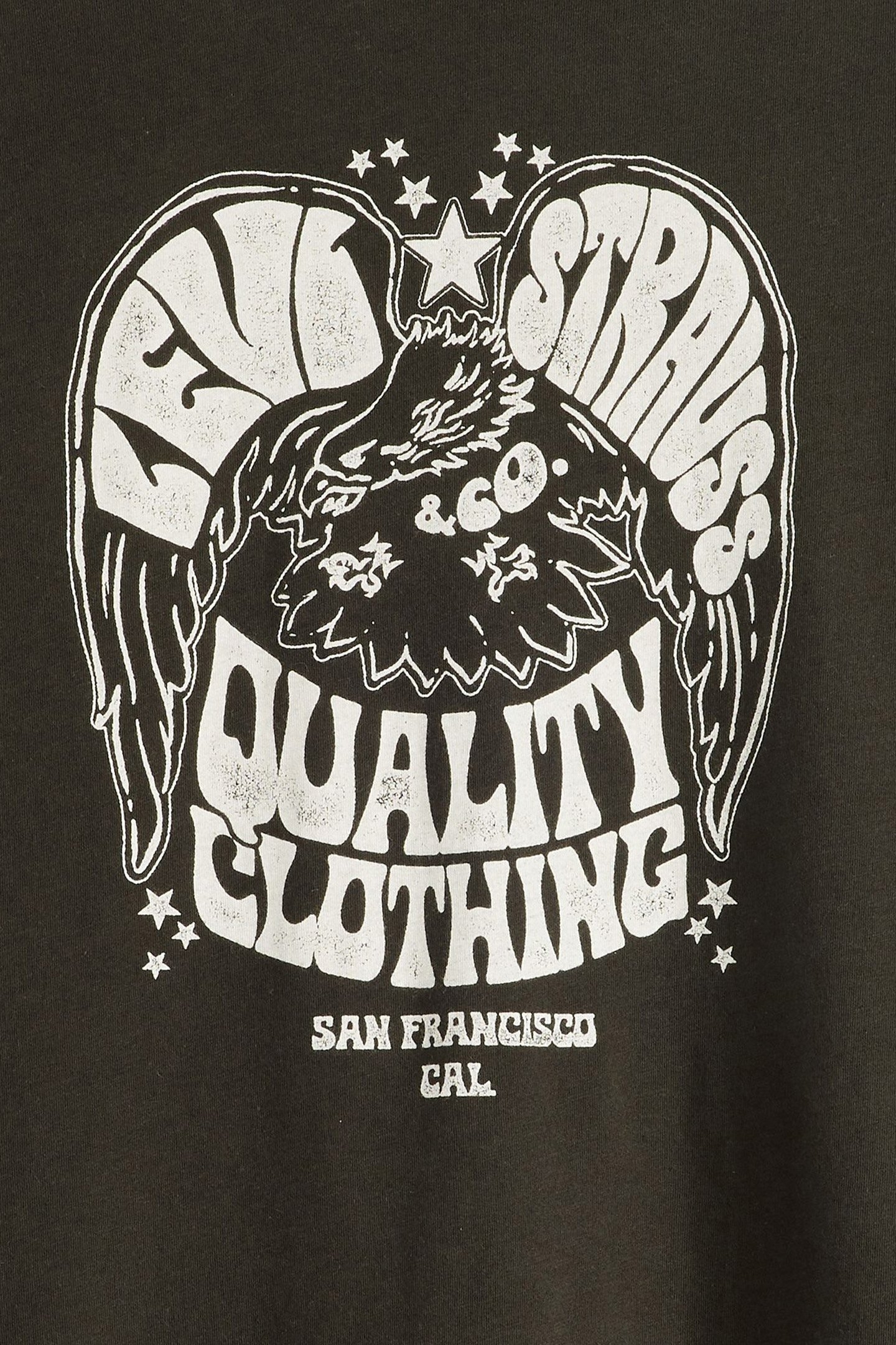 GRAPHIC ICONIC TEE EAGLE TEE PIRATE BLACK 6