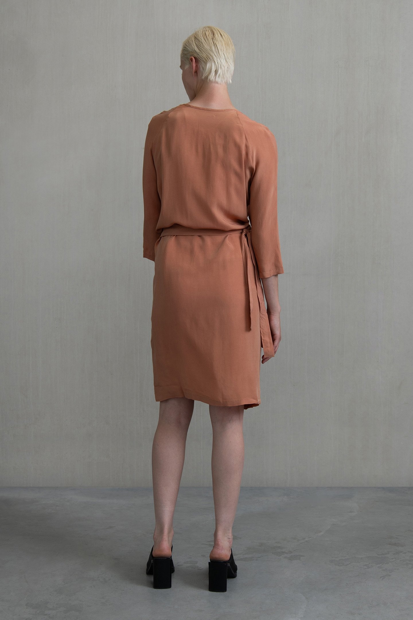 RILEY D DRESS RUST 2