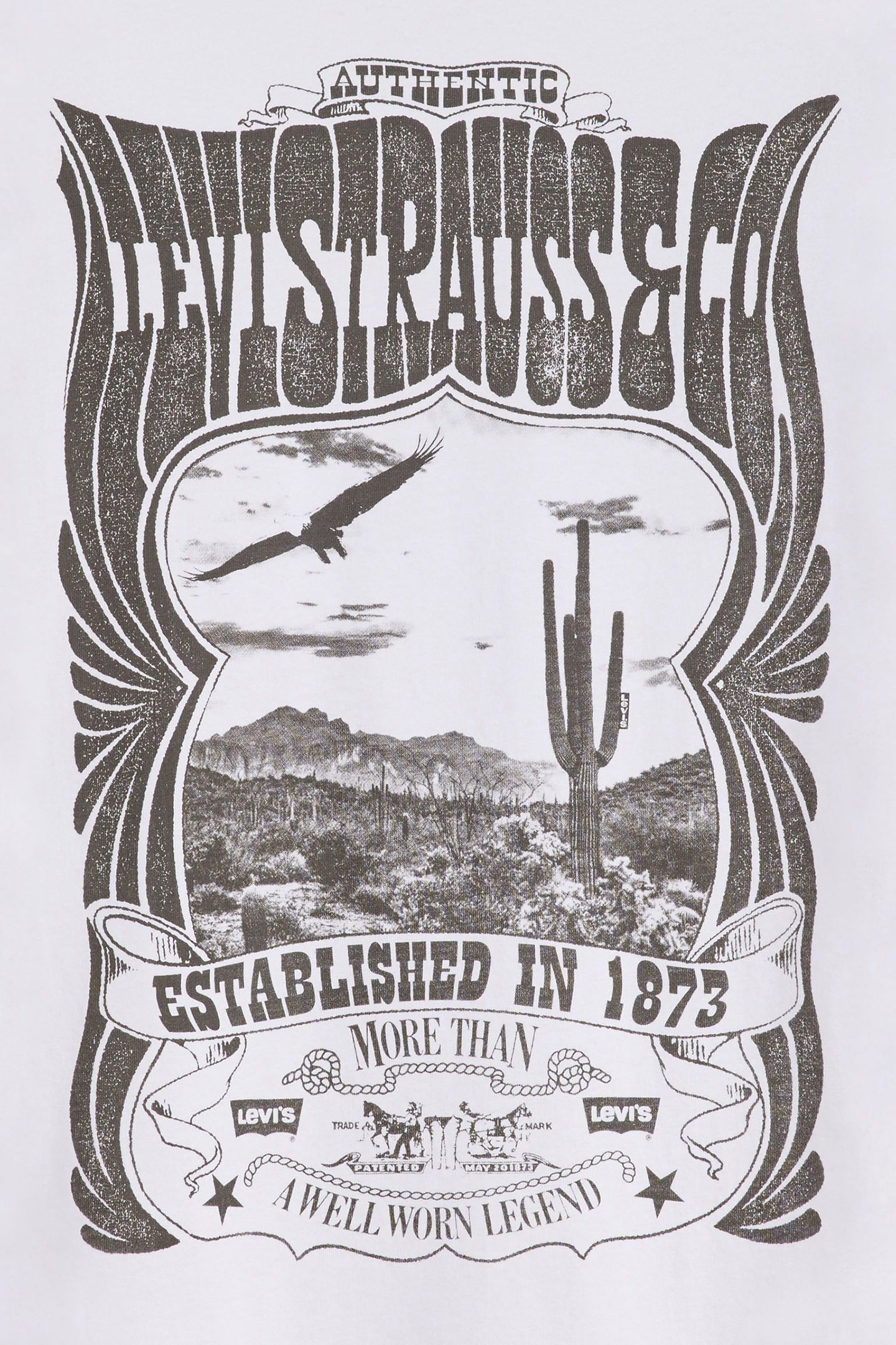 VINTAGE FIT GRAPHIC TEE CONCERT TEE WHITE 6