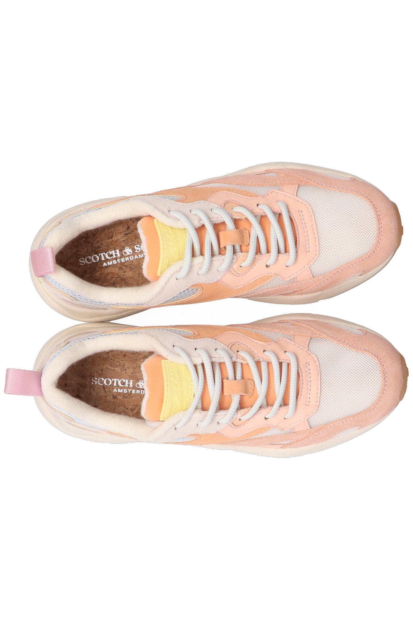 MOUNT W CORAL MULTI 5