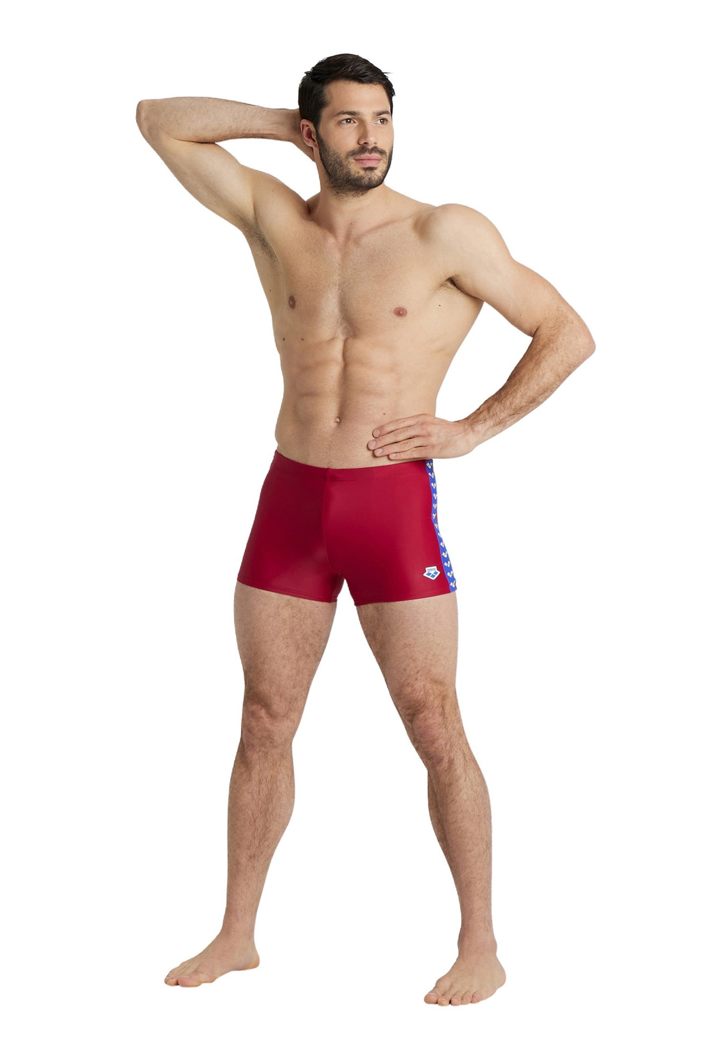 MEN'S ARENA ICONS SWIM SHORT SOLID BURGUNDY 3