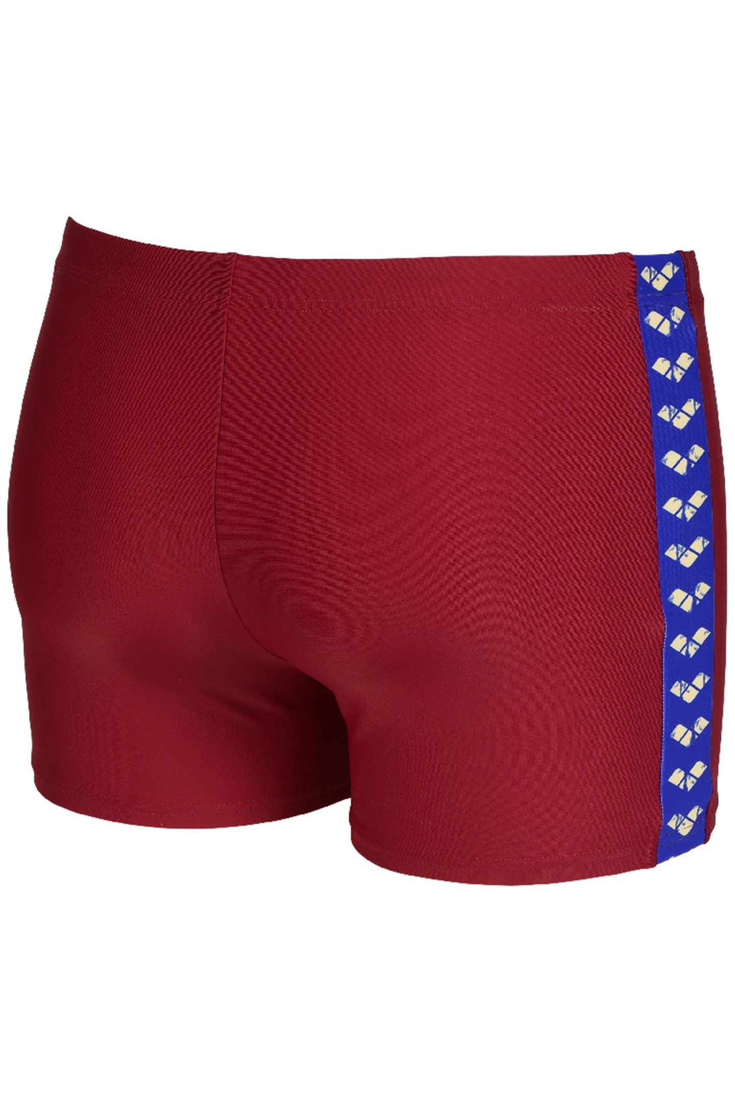 MEN'S ARENA ICONS SWIM SHORT SOLID BURGUNDY 8