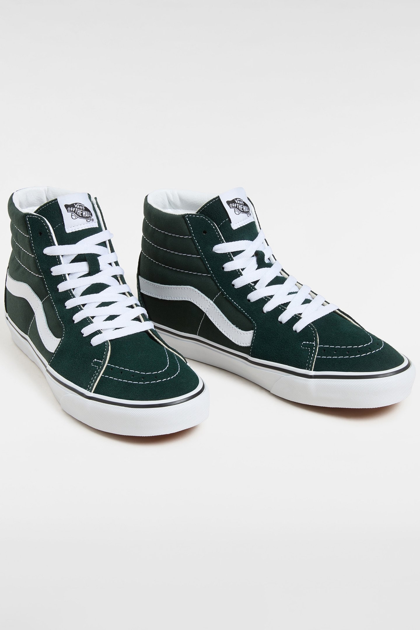 UNISEX SK8-HI SCARAB 2