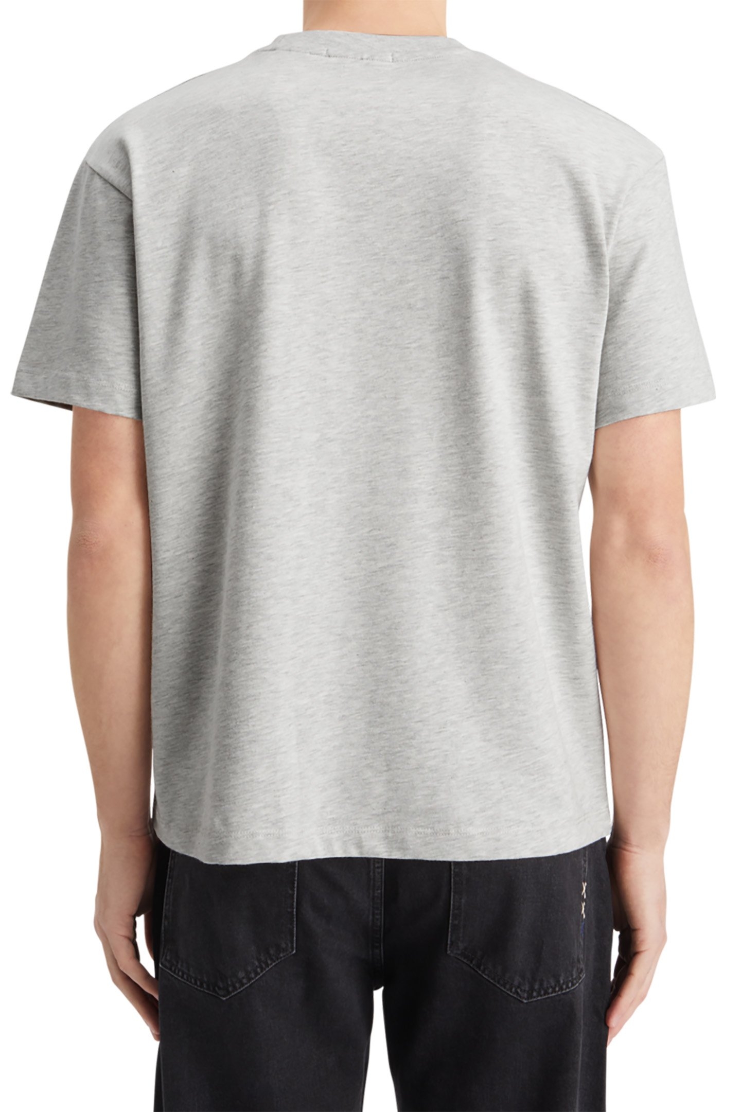 CORE - THE FREE SPIRIT PEACE BIRD T-SHIRT OATMEAL MELANGE 2