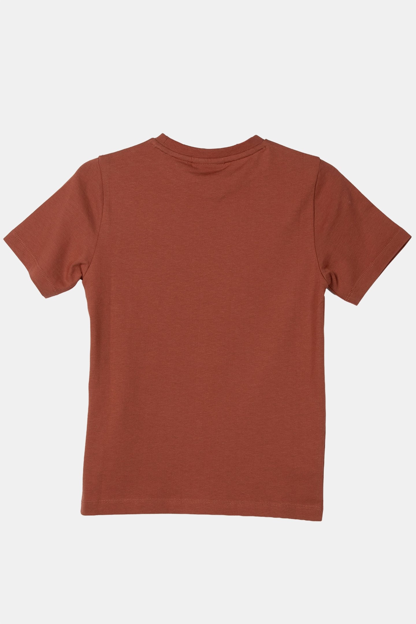 PLAIN T-SHIRT BRICK 3