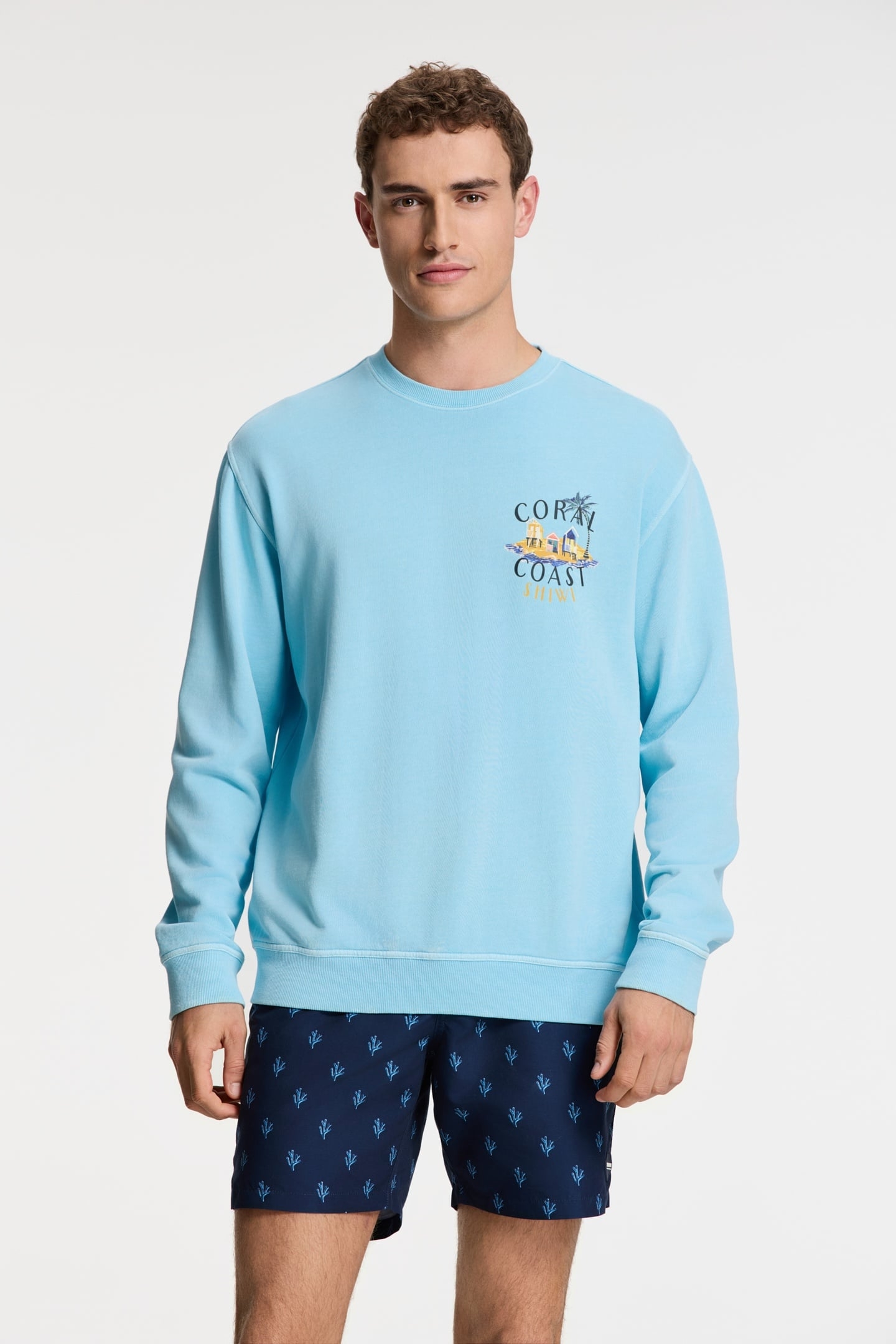 KYLE RELAXED FIT SWEAT SKETCHED ISLAND BLUE SKY 2