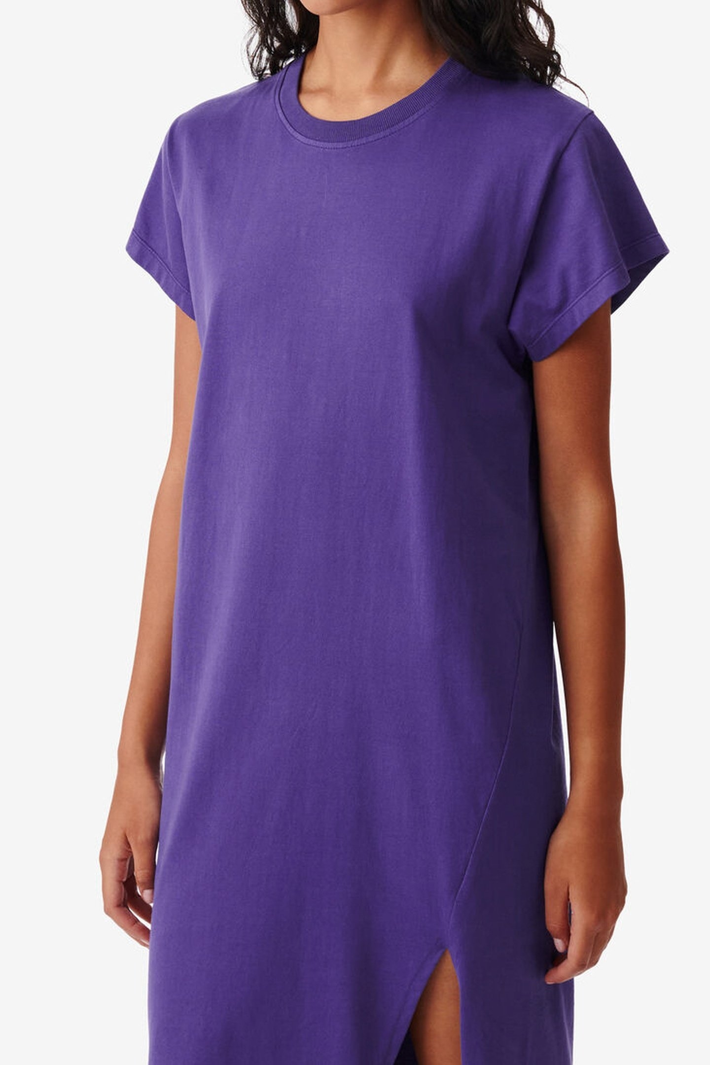 LITONYA DRESS VINTAGE PURPLE 2