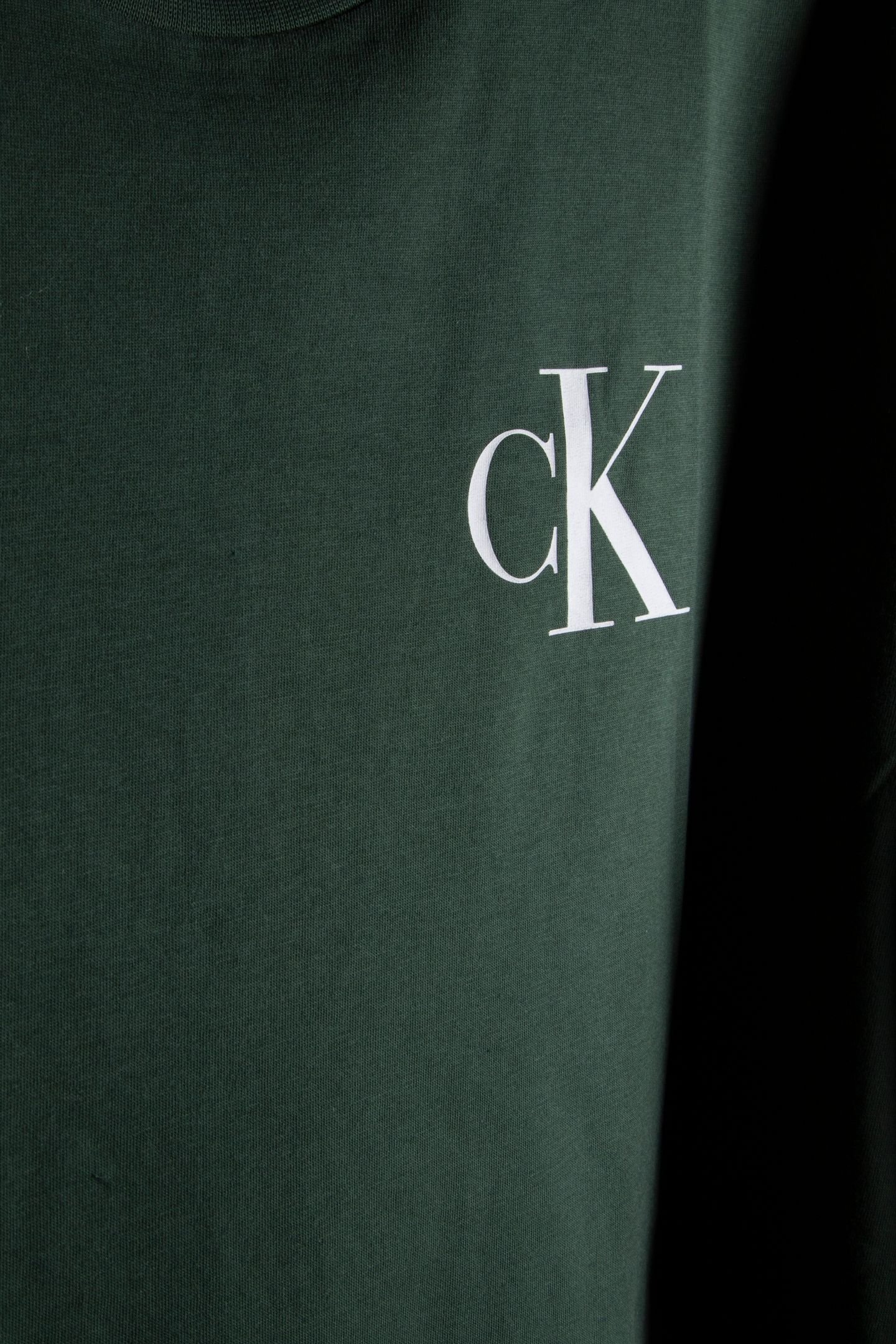 SS LEFT CHEST LOGO TEE SYCAMORE 4