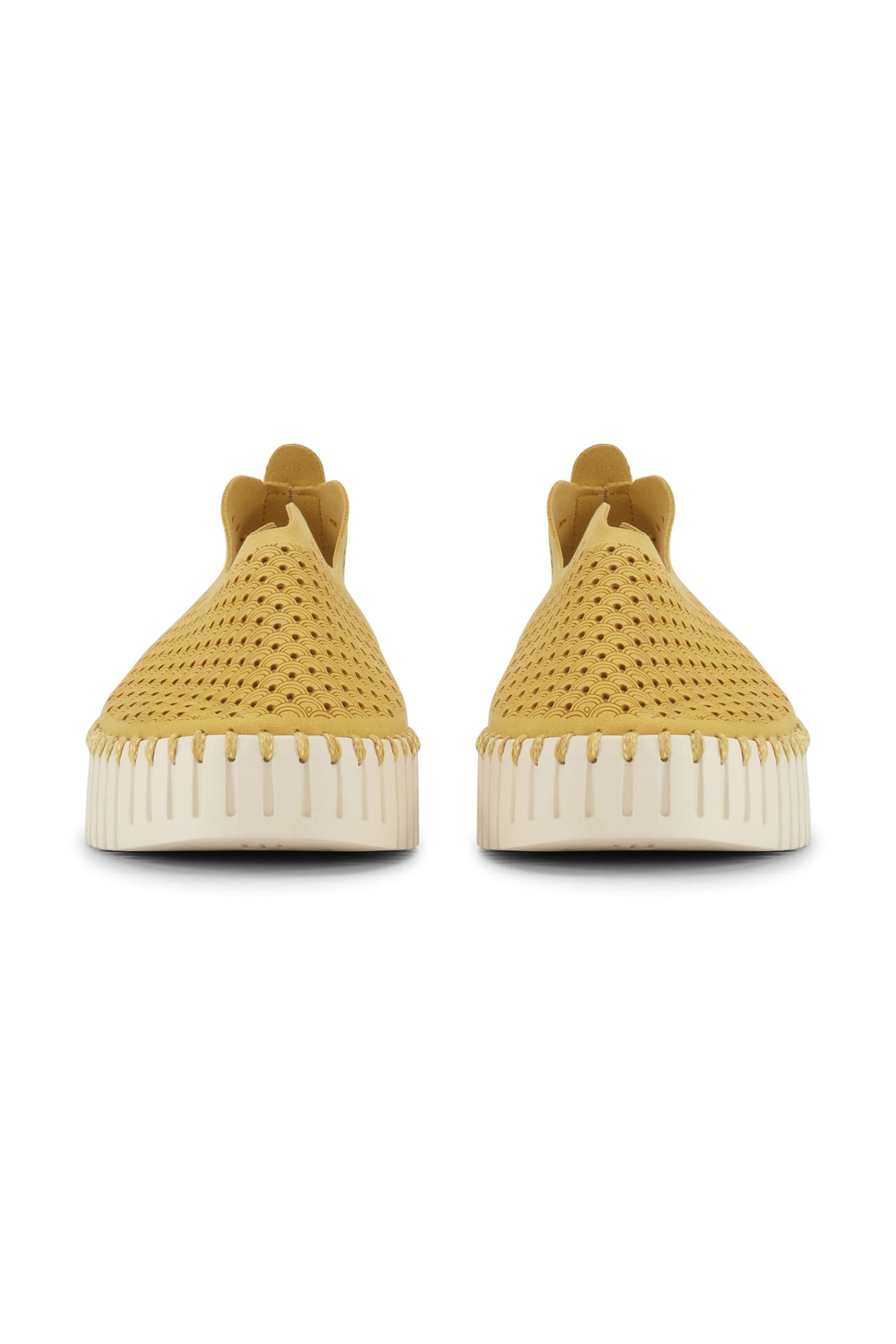 FLATS TULIP3373 GOLDEN ROD 7