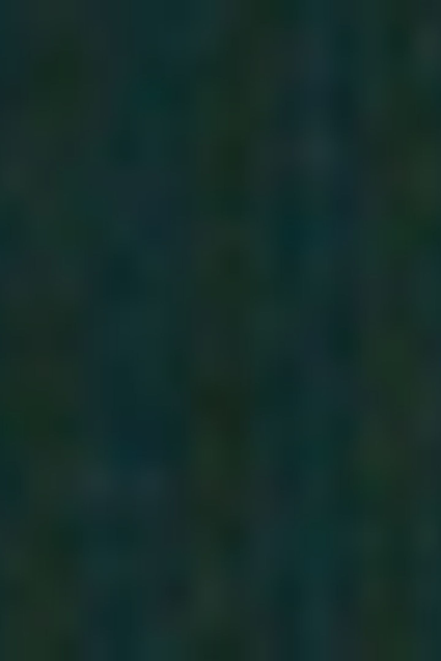 SWEATSHIRT SINOPLE 4