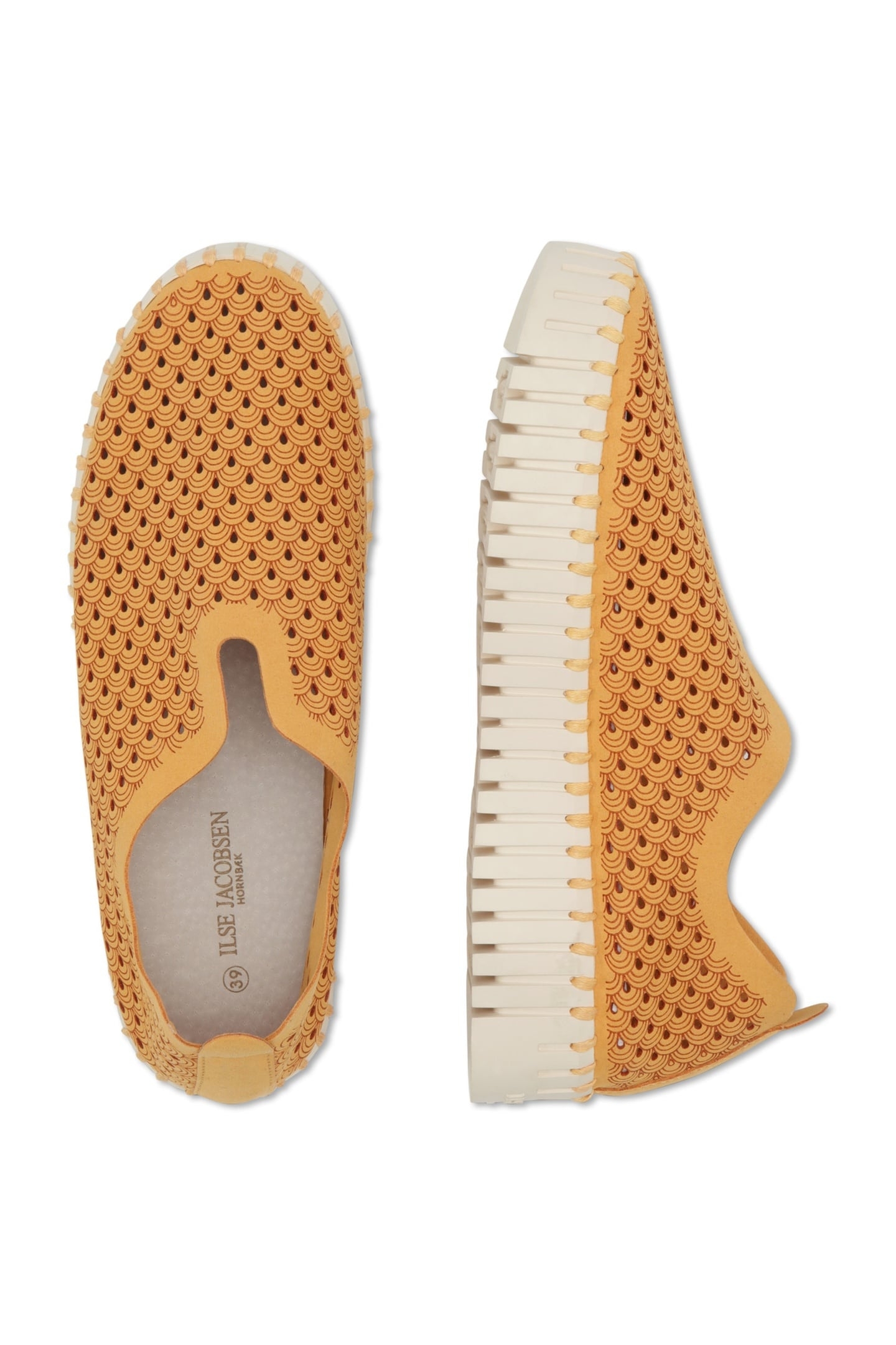 FLATS TULIP3373 GOLDEN NUGGET 1