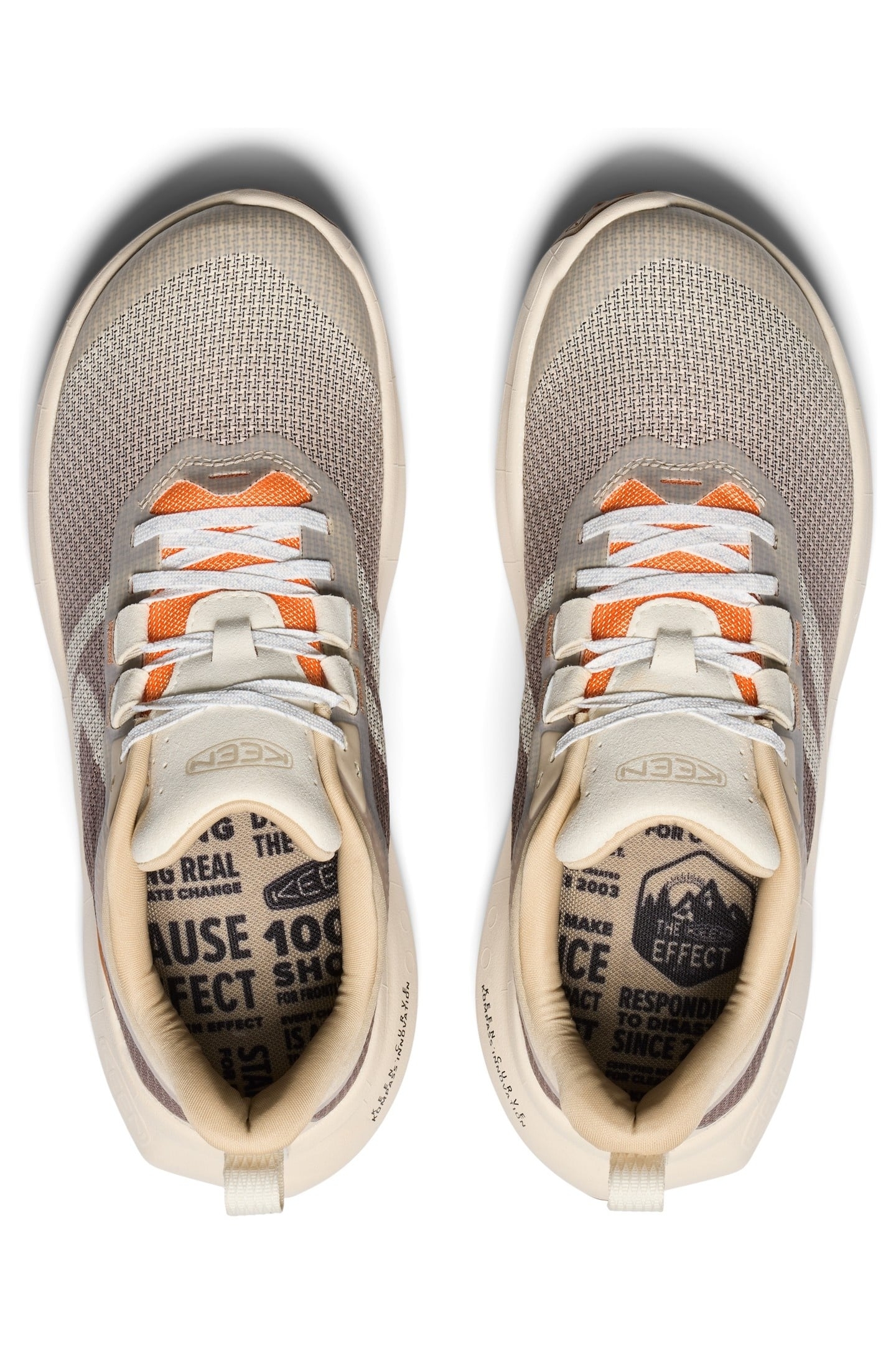 450 DIRT BIRCH/NECTARINE 4