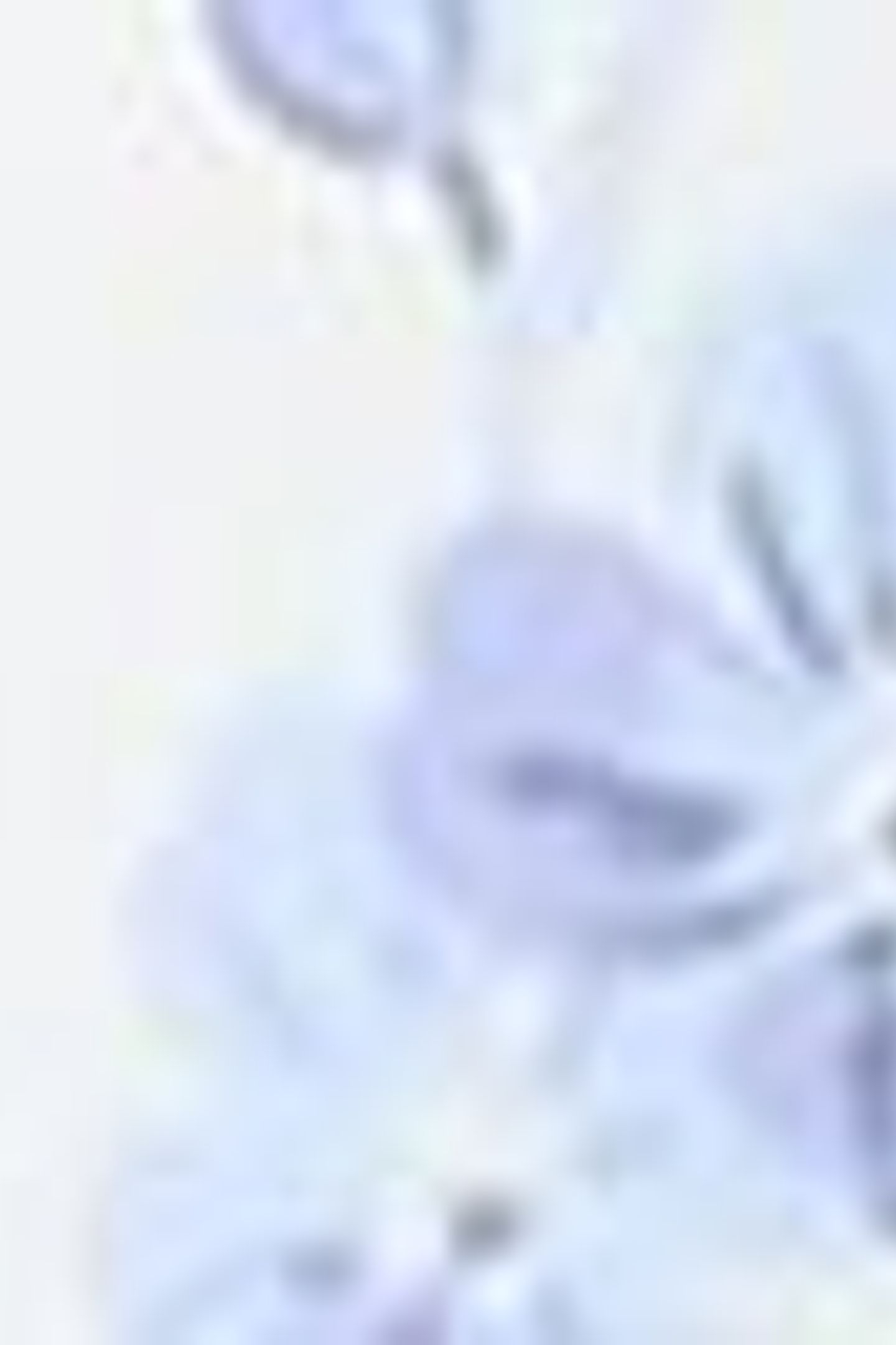 RAVINA MIDI DRESS YELLOW 5