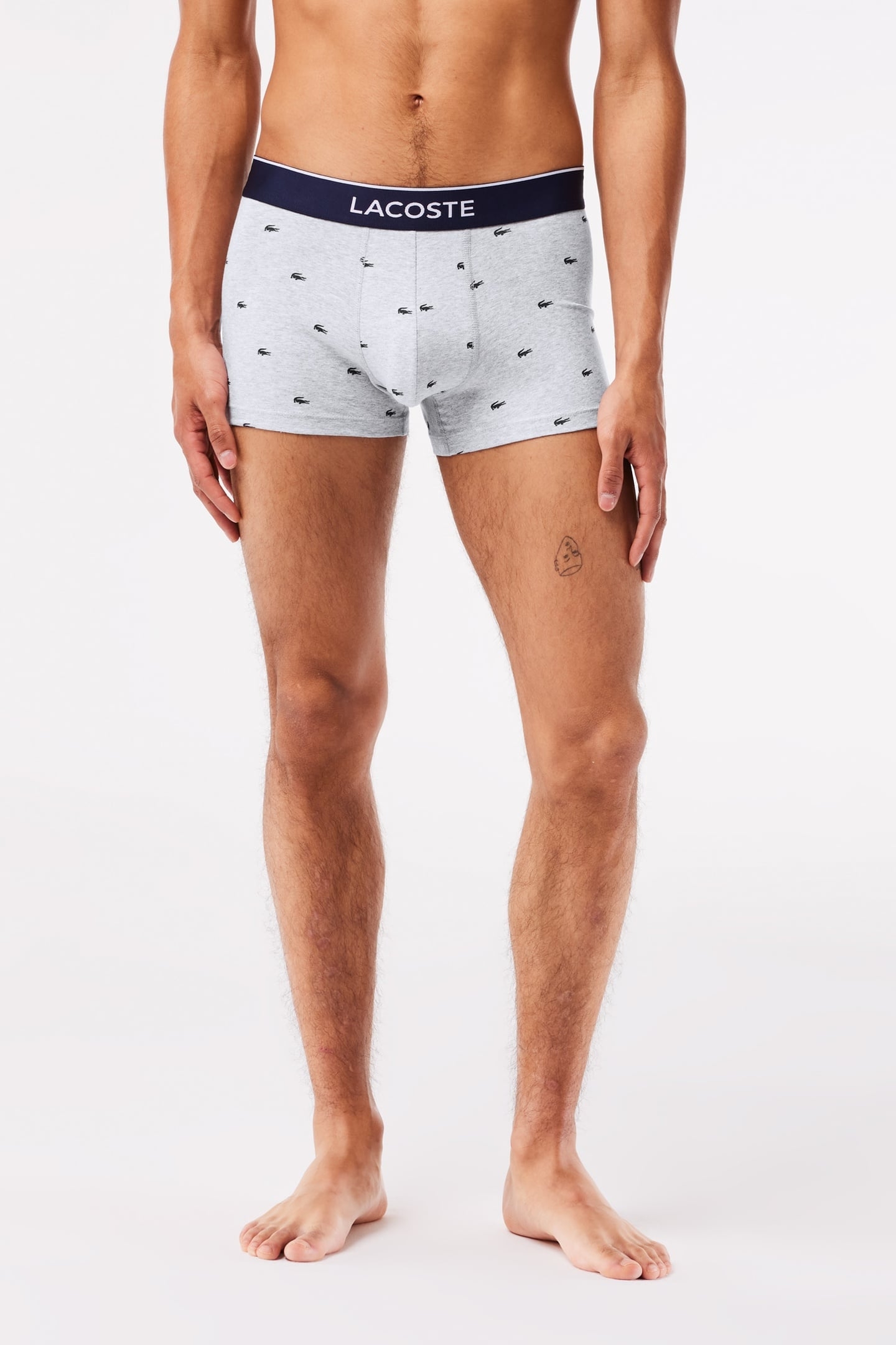 TRUNK MEN METHYLENE/SILVER CHINE 3