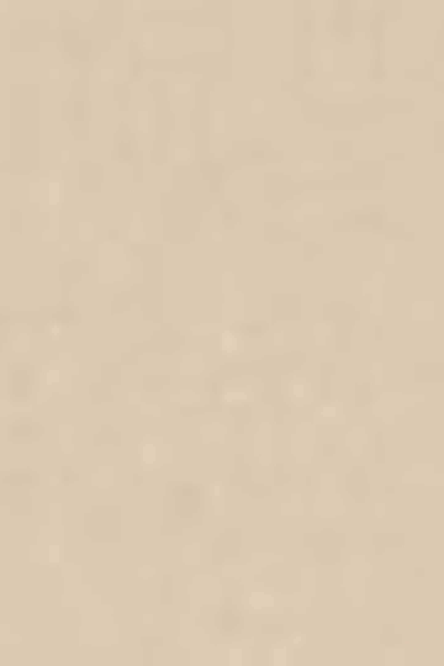 GRAPHIC VINTAGE FIT T-SHIRT NEUTRAL 7