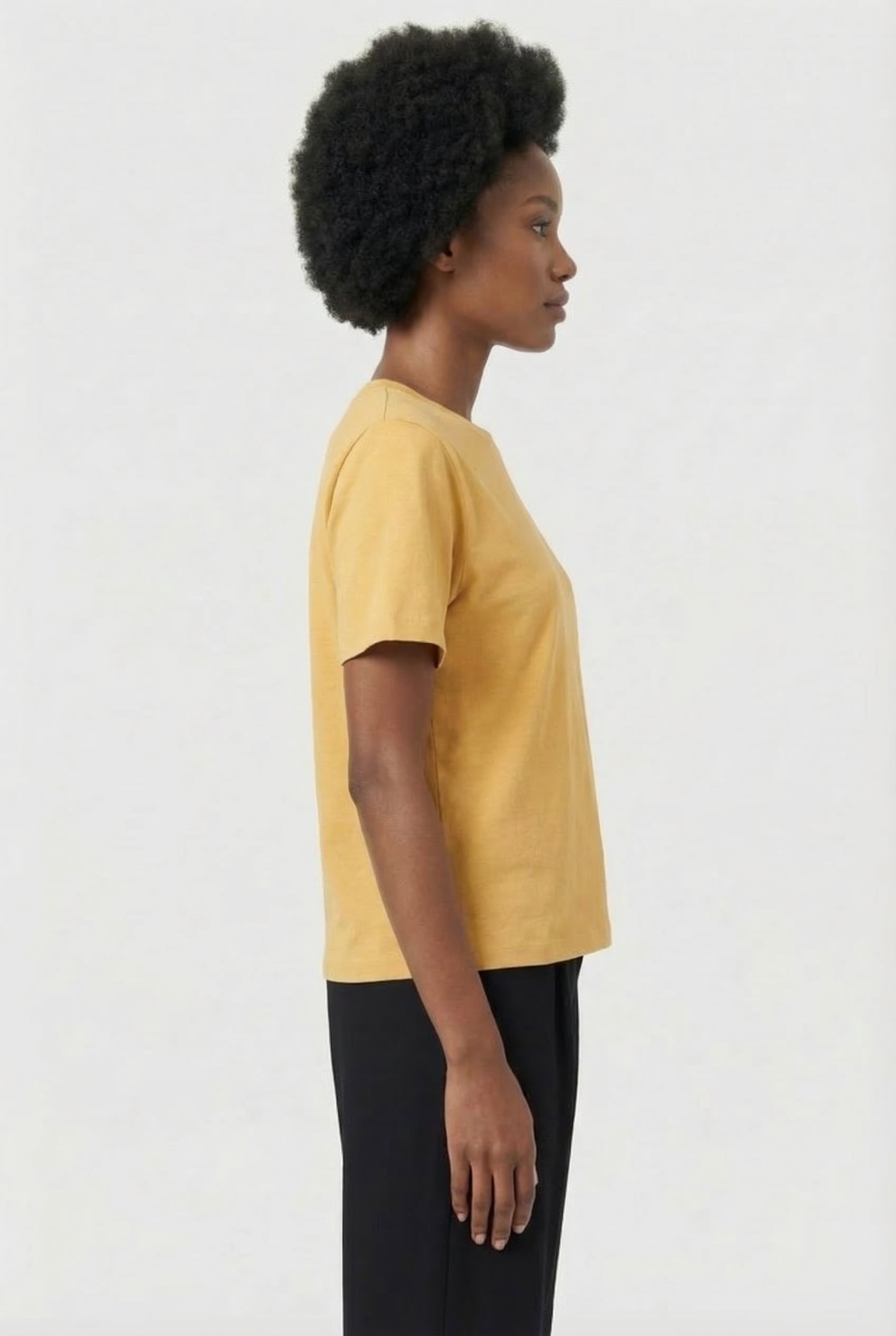 ZELITOS YELLOW 3
