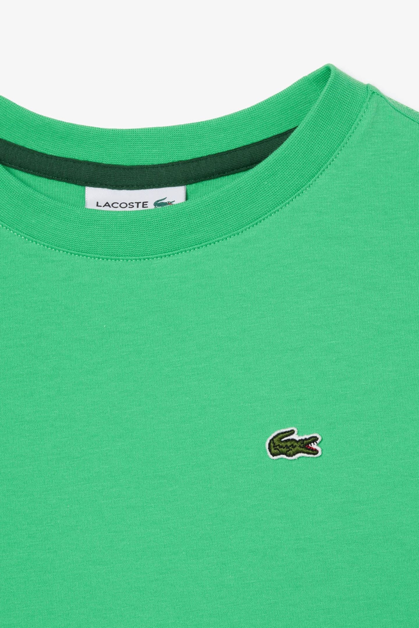 CHILDREN TEE-SHIRT PEPPERMINT 5