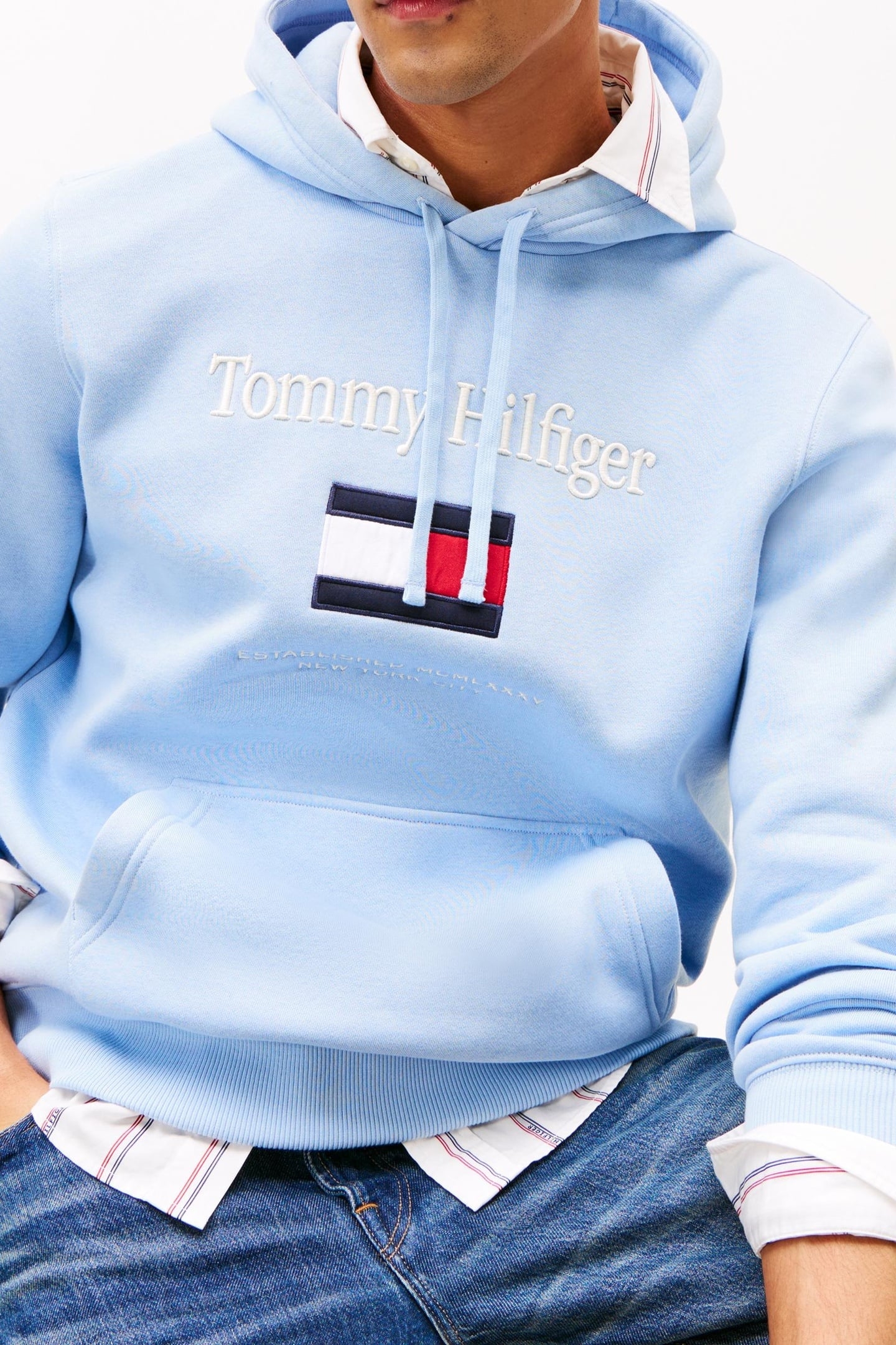 TOMMY EMBRO FLAG HOODIE WELL WATER 5