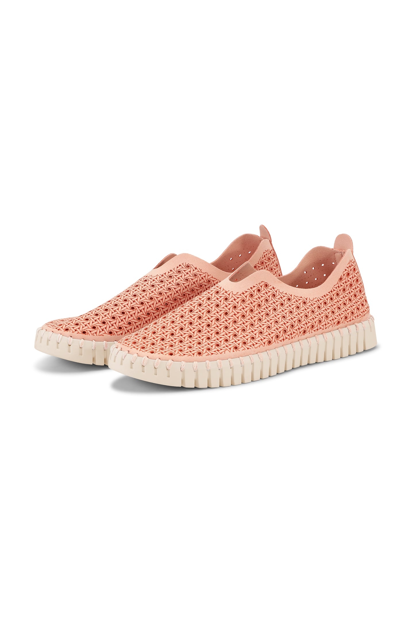 FLATS TULIP4031 ADOBE ROSE PEARLED IVORY 2