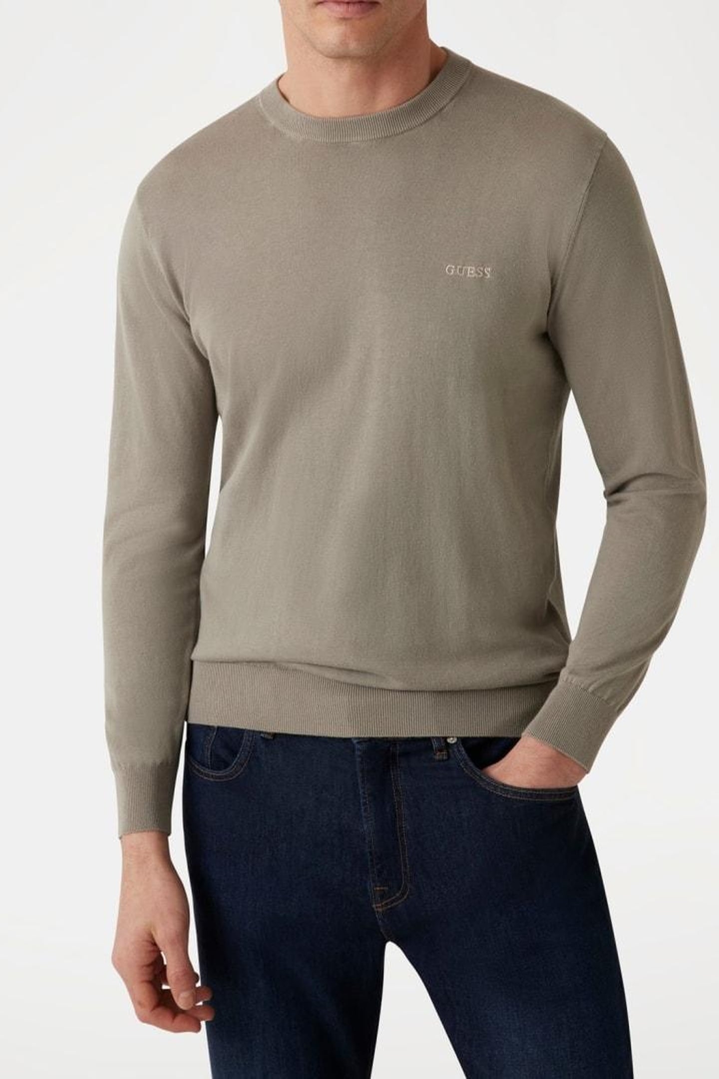 GUESS ECO CHESLEY WASHED LS CN SAGE PLANT 3