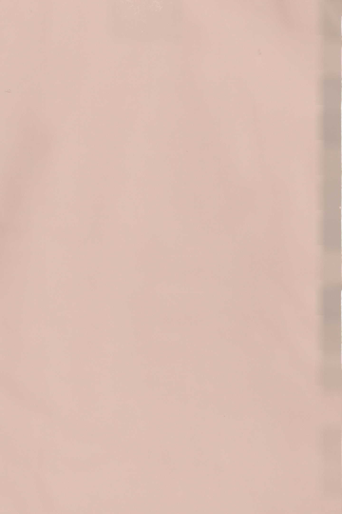 MINI BRIEF PALE PINK 3