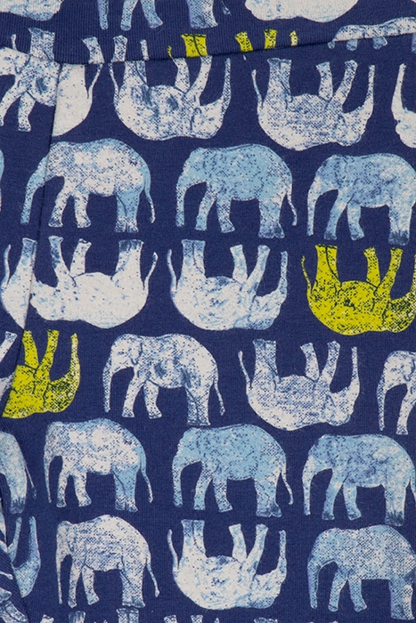CROPPED LITTLE LEGS 2 PACK BEETLE BLUE PRINT 4