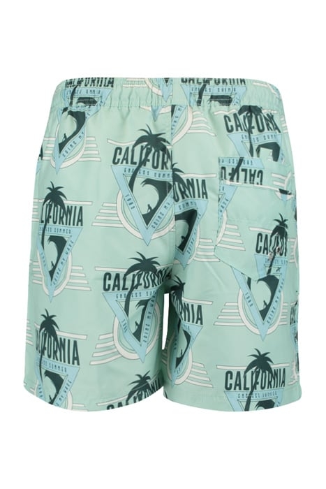 ARIZONA AOP LIGHT GREEN 2