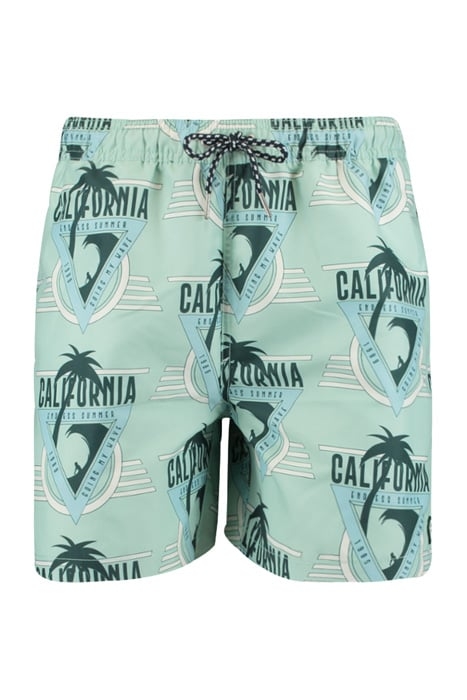 ARIZONA AOP LIGHT GREEN 1