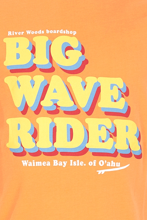 RM20S-C5013_A-237_LAFL ORANGE 2