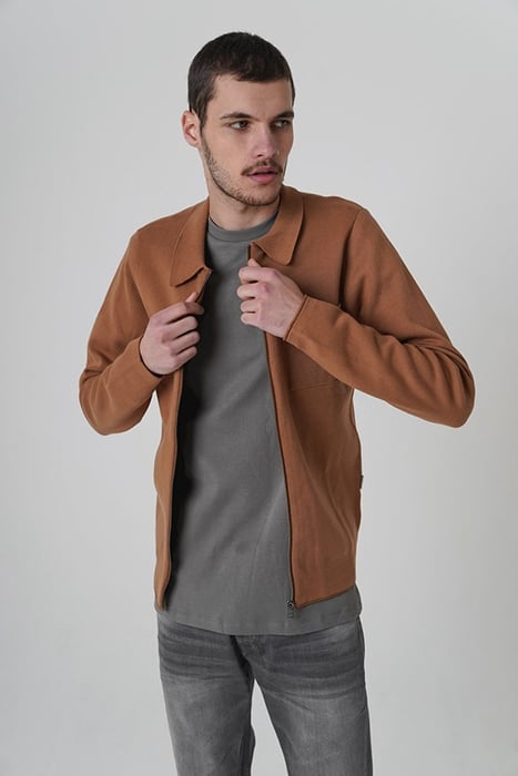 CG OREGON CHIPMUNK 2