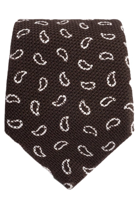 BROWN PAISLEY TIE 3