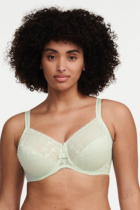 DAY TO NIGHT GREEN LILY 2