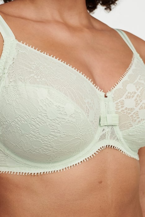 DAY TO NIGHT GREEN LILY 4