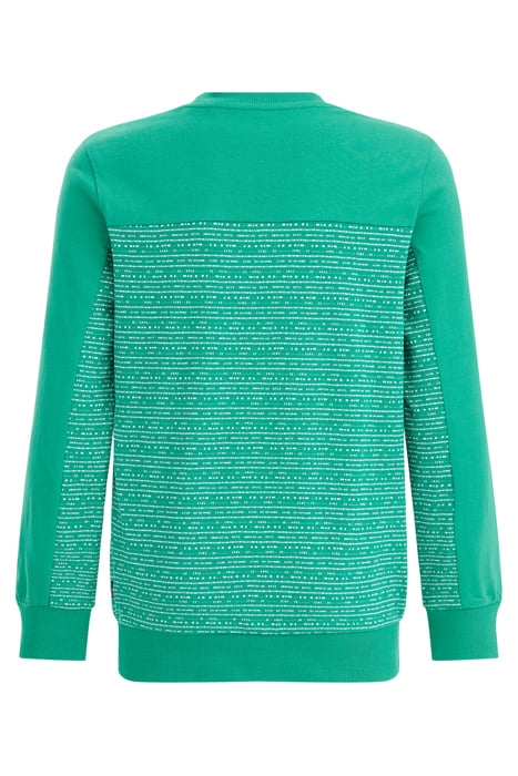 T-SHIRT MOSS GREEN 4