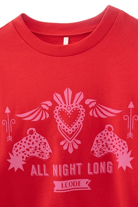 FLASH PINK ROCK IMAGE SWEATSHIRT 7