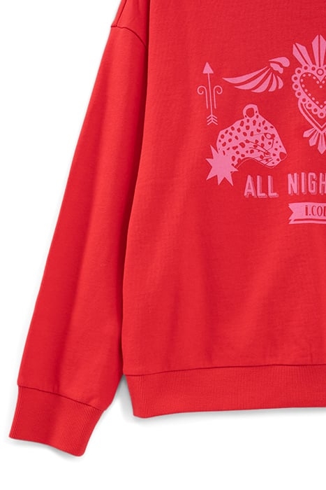 FLASH PINK ROCK IMAGE SWEATSHIRT 8