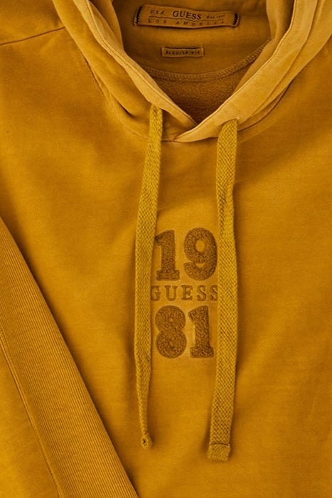 RIB INSERT HOODIE SWEATSHIRT GOLD FLAKE 6