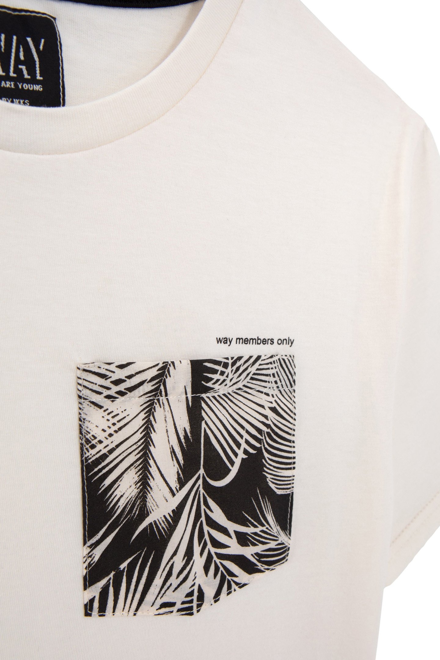 BOYS’ ECRU ORGANIC COTTON T-SHIRT, PALM TREE PRINT POCKET 4