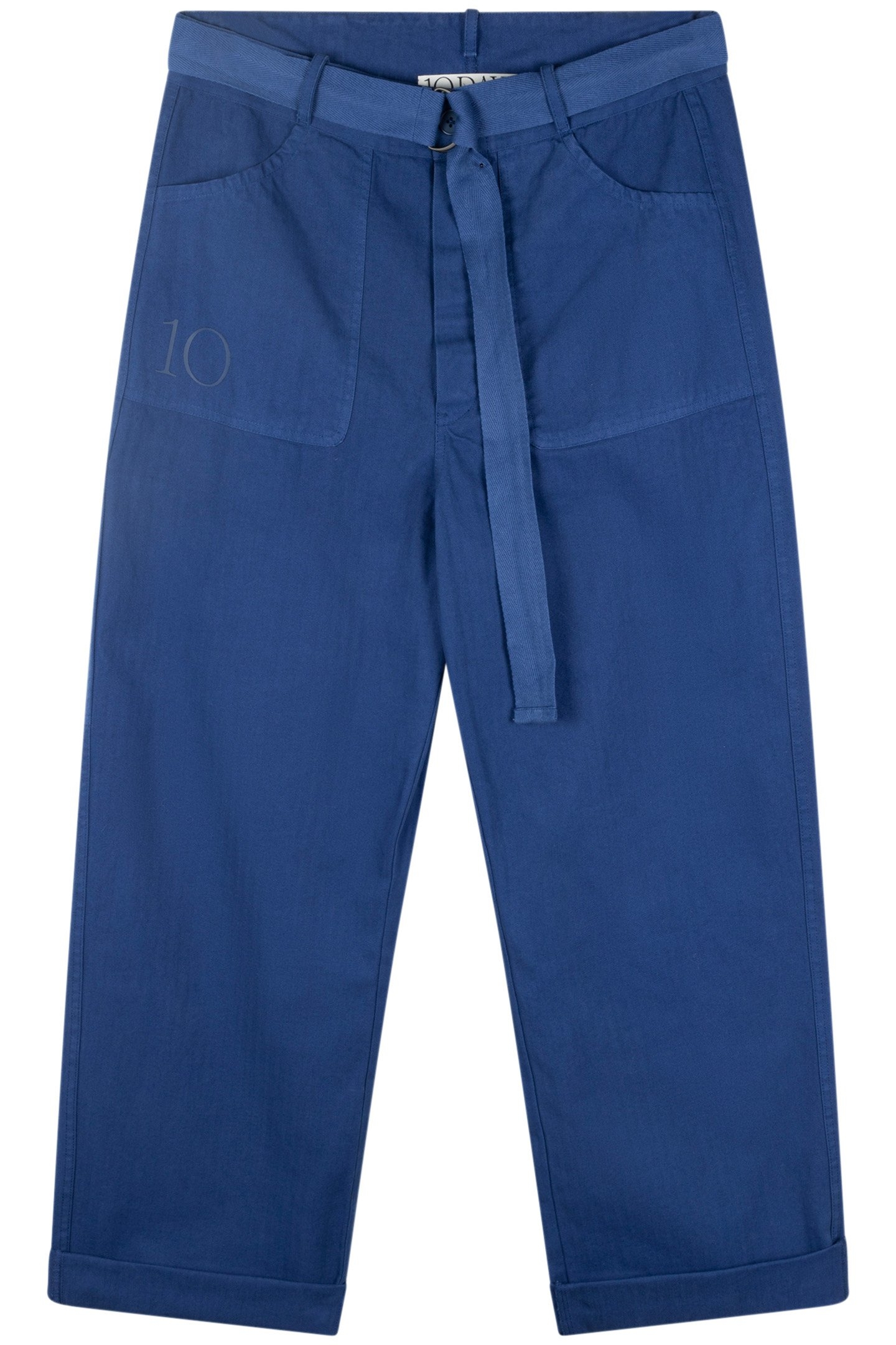 WORKWEAR PANTS ELECTRIC BLUE 4