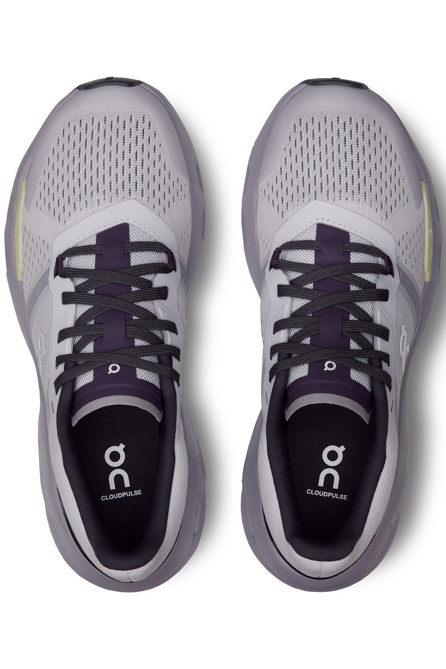 CLOUDPULSE 1 LAVENDER SEEDLING 3