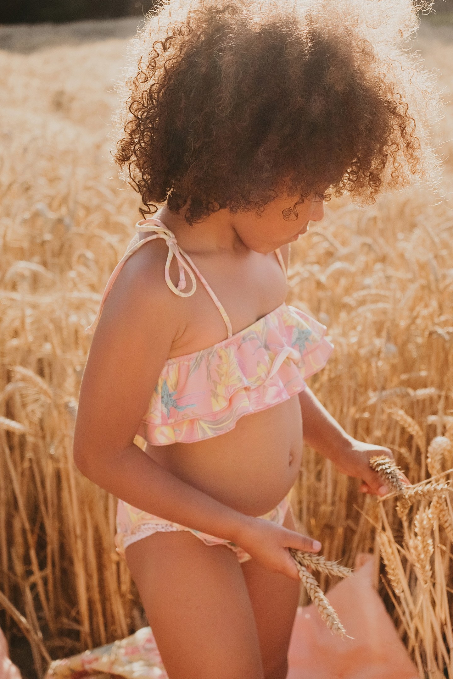 BIKINI ZACATA SIENNA PARROTS 7