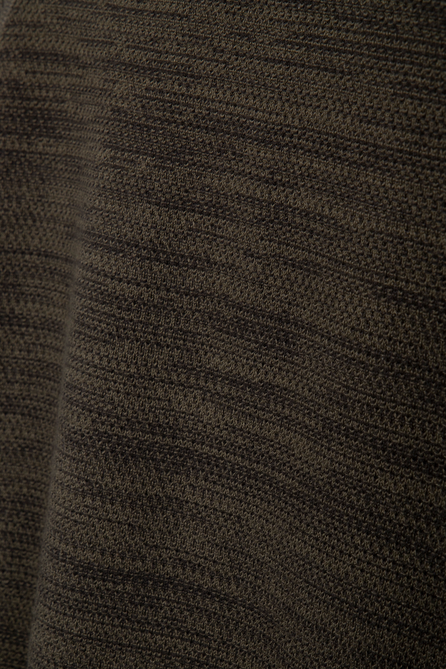 DS_ROAR RAGLAN SAGE 4