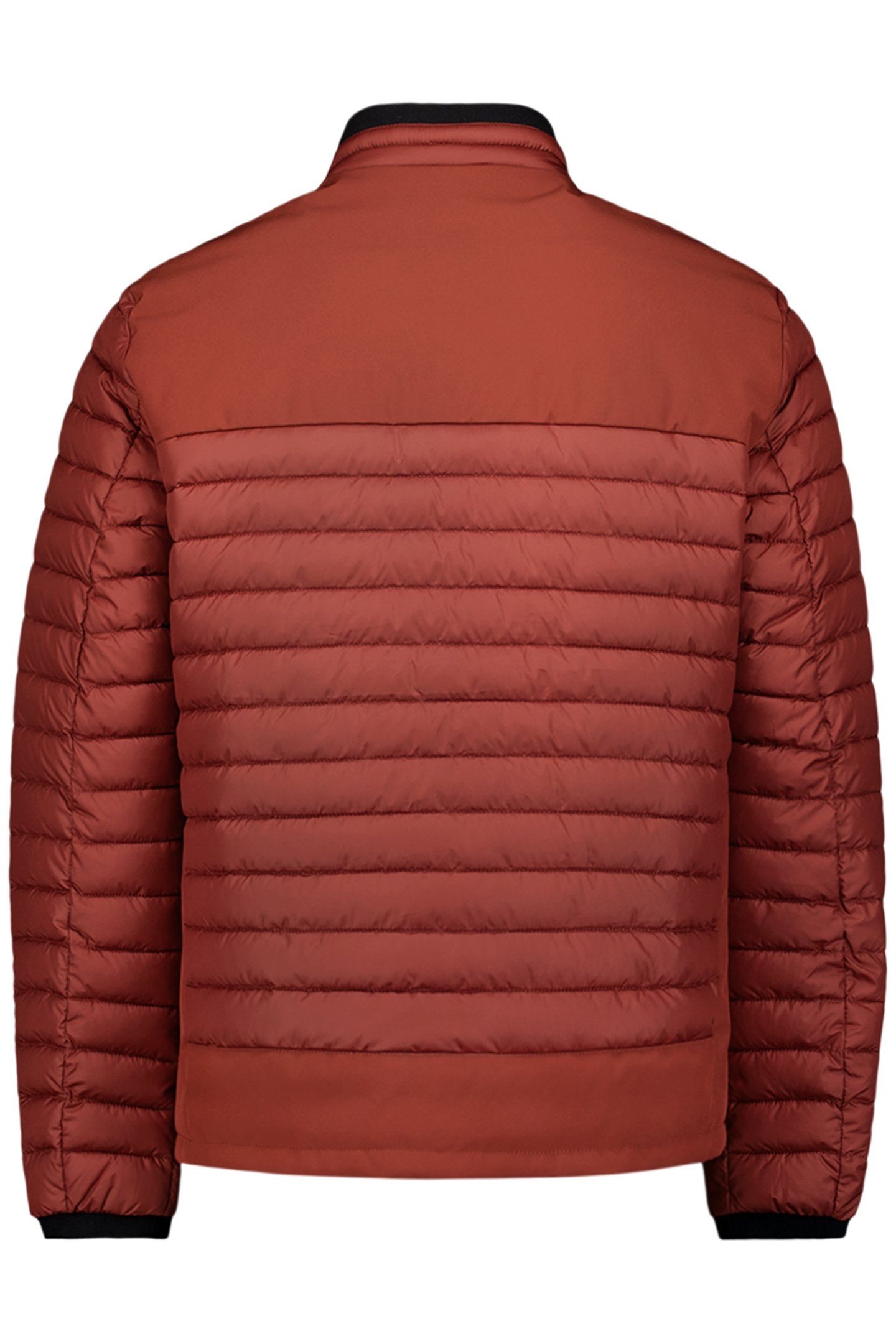 JACKET SHORT FIT PADDED RUSTY 5