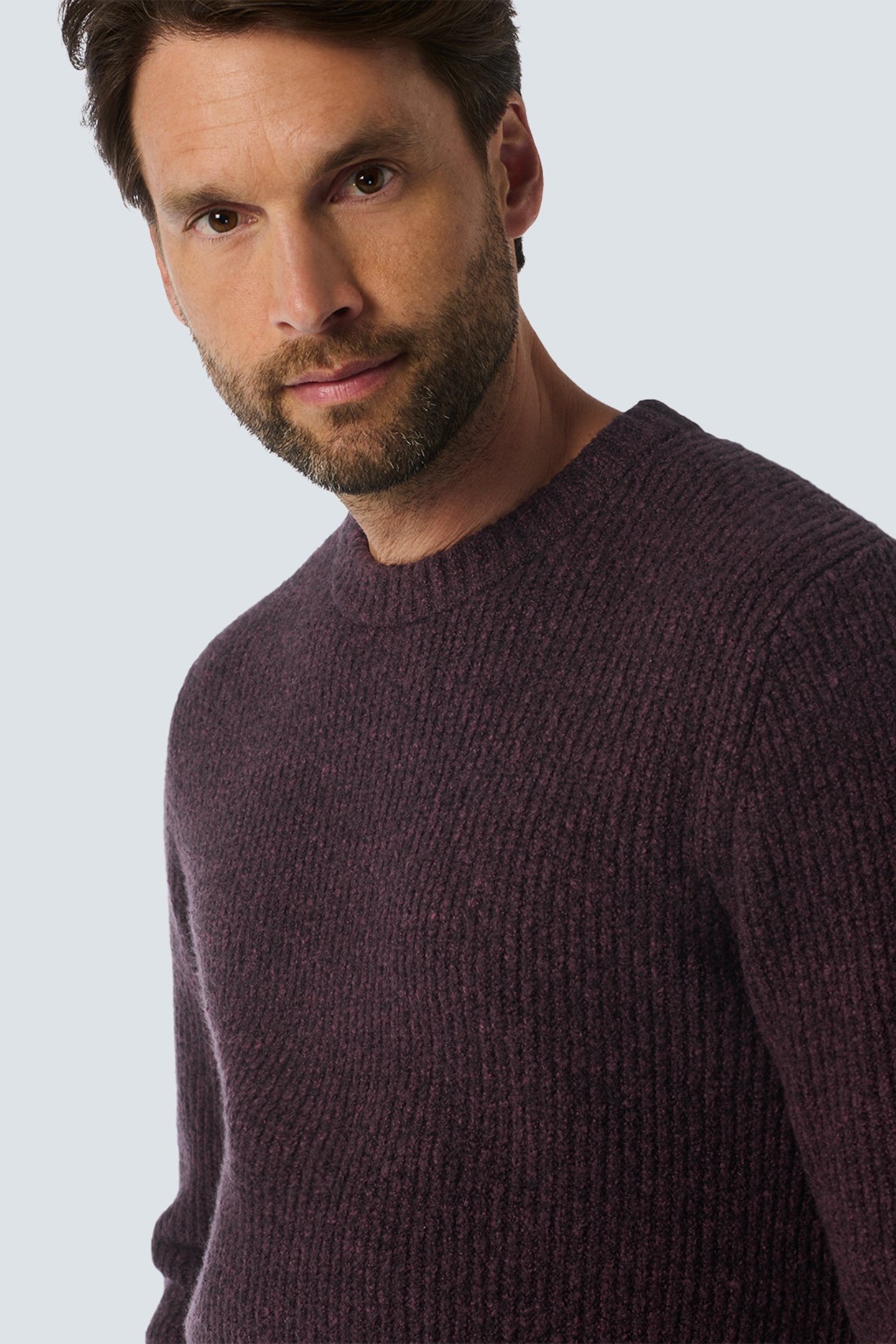 PULLOVER CREWNECK 2 COLOURED SOFT STRETCH AUBERGINE 6