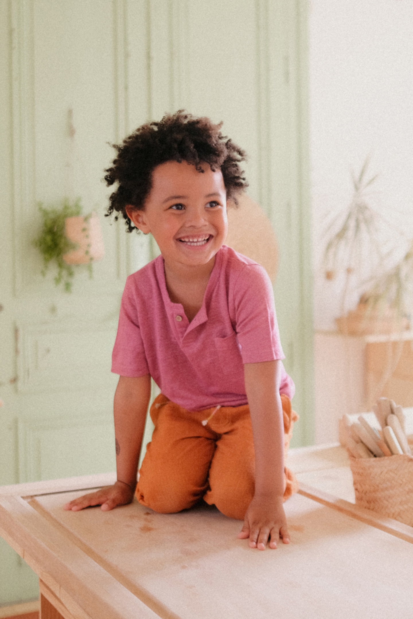 TEE TAZO RASPBERRY 2